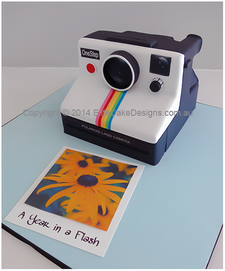 Polaroid Land Camera cake in 3D
